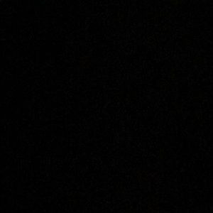 Meet your Posher, Gavin